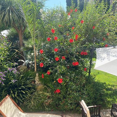 Villa Angelina - Casa Glicine Vallecrosia Εξωτερικό φωτογραφία