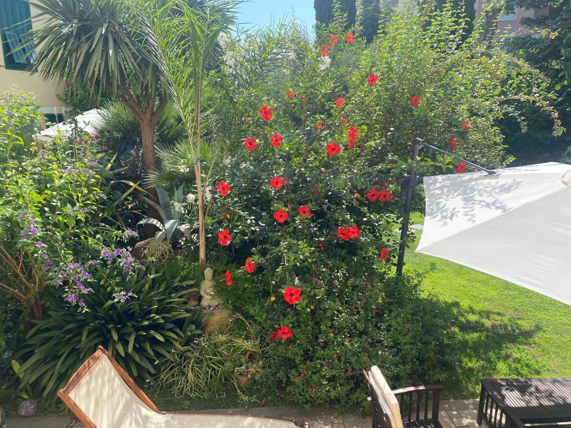 Villa Angelina - Casa Glicine Vallecrosia Εξωτερικό φωτογραφία