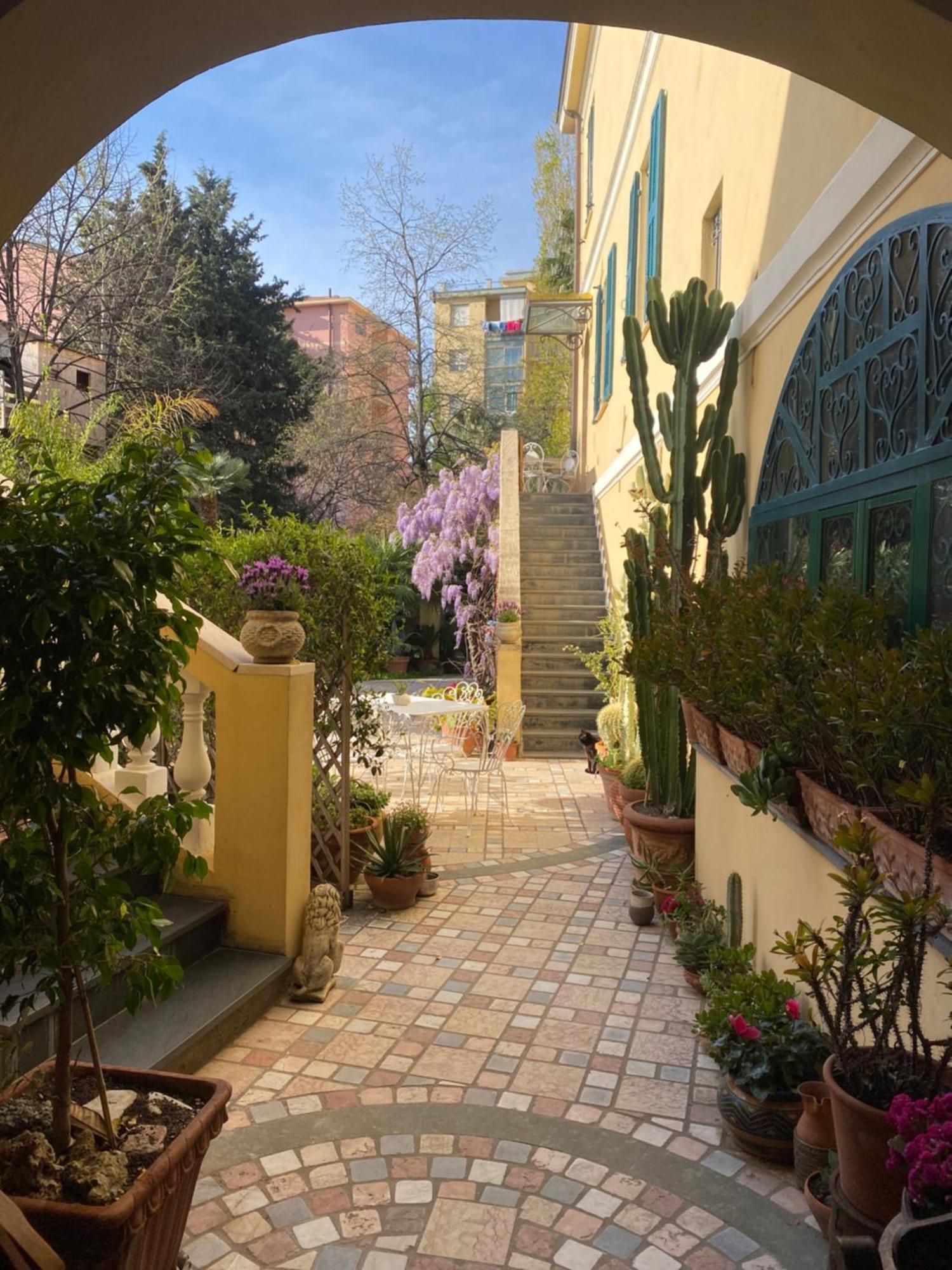 Villa Angelina - Casa Glicine Vallecrosia Εξωτερικό φωτογραφία