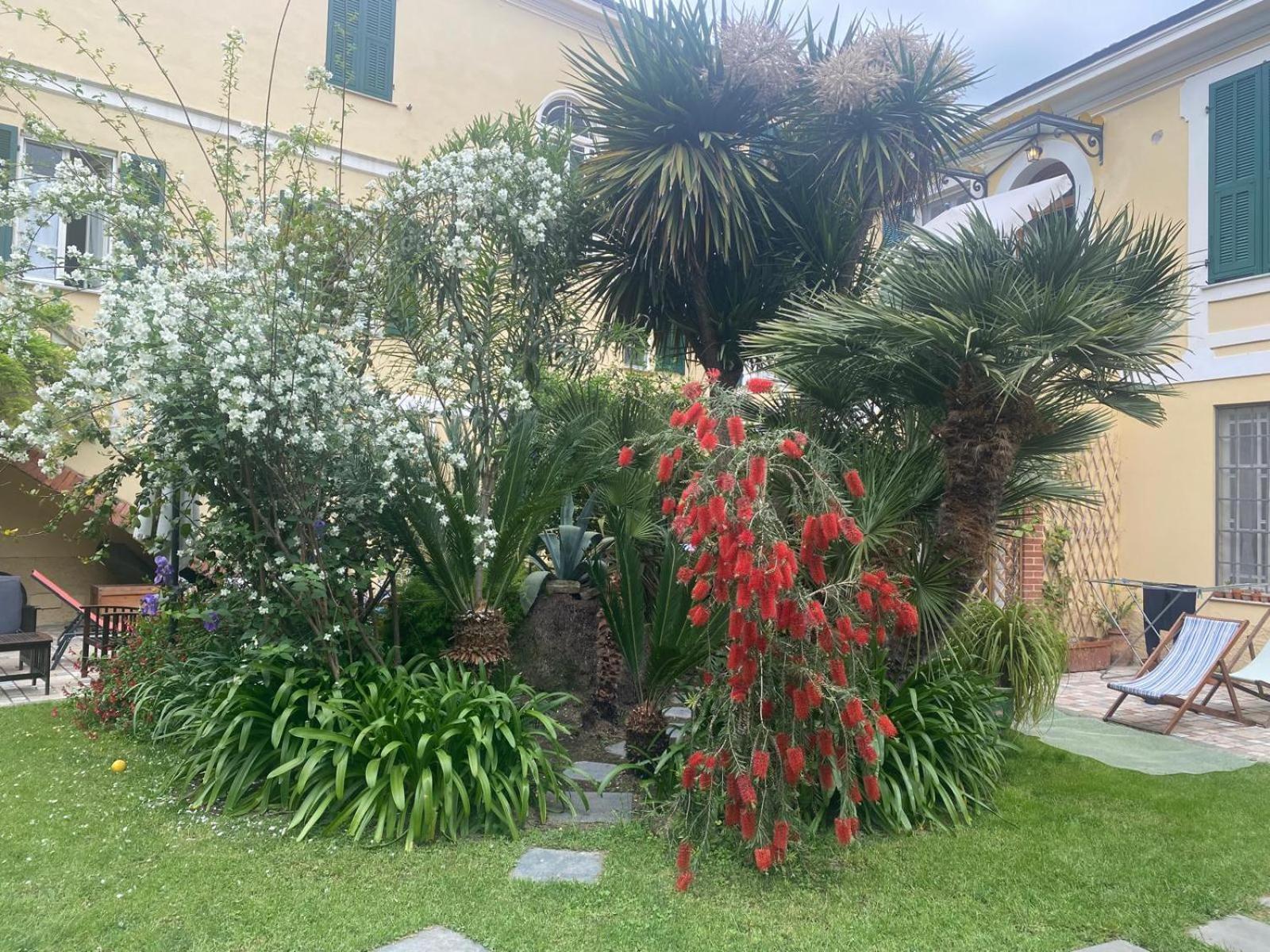 Villa Angelina - Casa Glicine Vallecrosia Εξωτερικό φωτογραφία